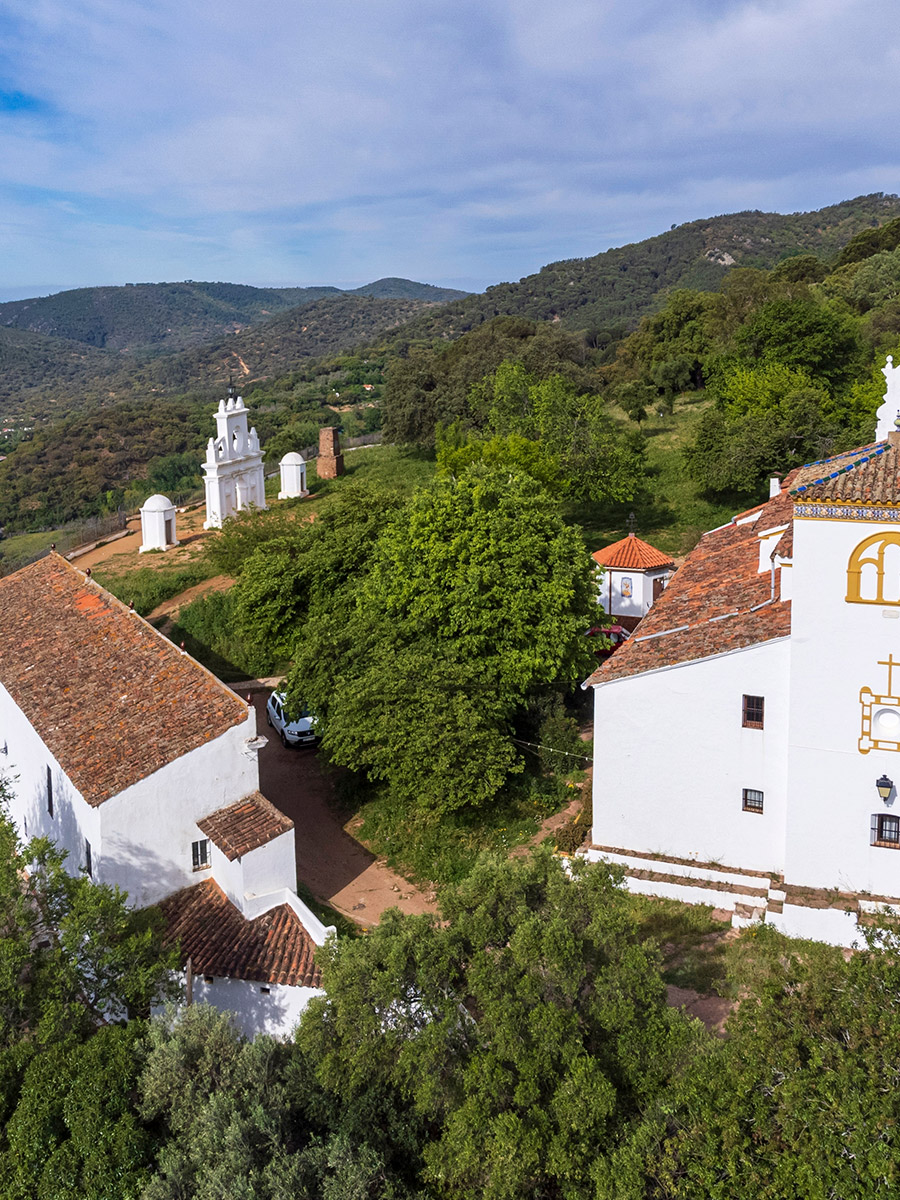 Setas en la Sierra de Aracena